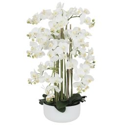 Orchidée artificielle 12 hampes florales 80cm blanc