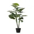 image de plantes artificielles scandinave