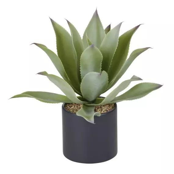 Succulente artificielle verte et pot en céramique noire