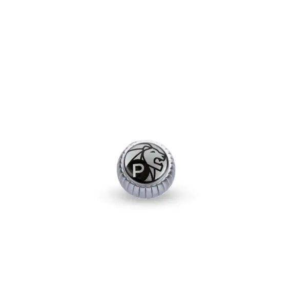Bouton pour moulin à poivre chrome mat