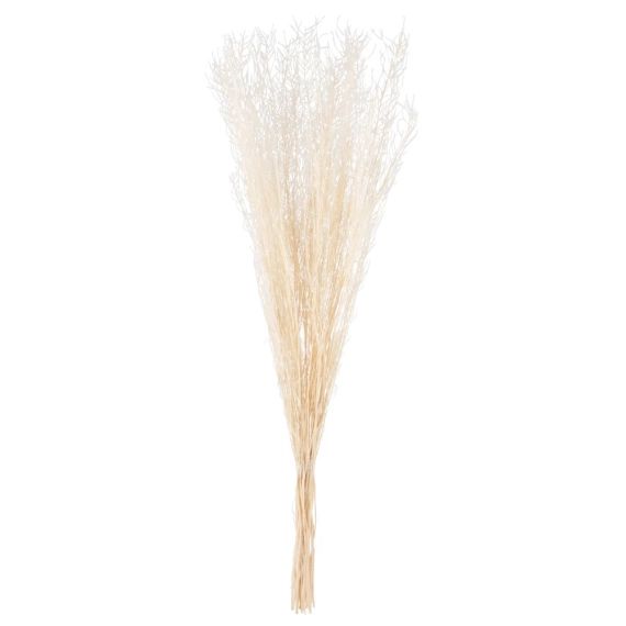 Bouquet de fleurs séchées beiges