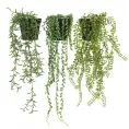 image de plantes artificielles scandinave 