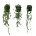 image de plantes artificielles scandinave 