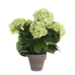 Hortensia artificielle vert en pot H45