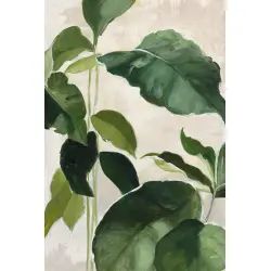 Tableau Aquarelle botanique imprimé sur toile 30x50cm