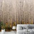 image de papiers peints scandinave 
