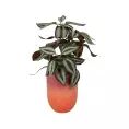 image de plantes artificielles scandinave 