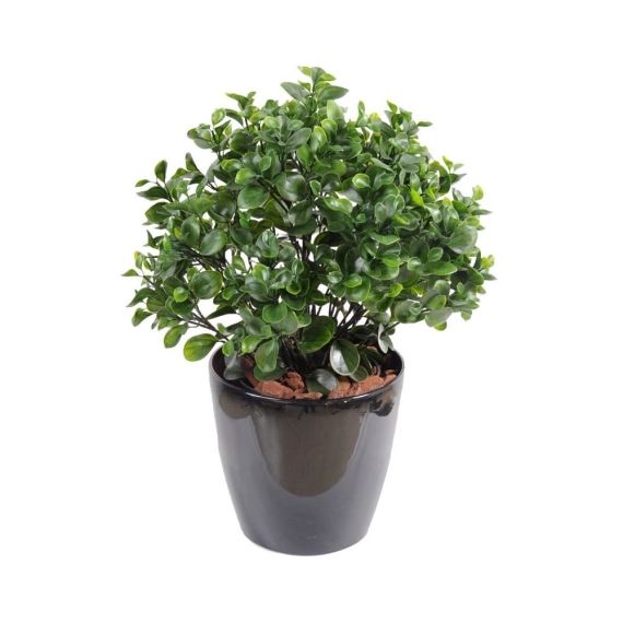 Peperomia artificiel en buisson