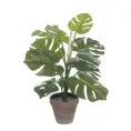 image de plantes artificielles scandinave 