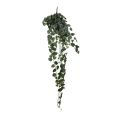 image de plantes artificielles scandinave Plante artificielle suspendu Scindapsus vert H129