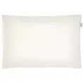 image de taie d’oreiller scandinave 