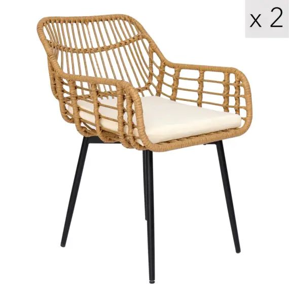 Lot de 2 chaises en métal et rotin