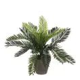 image de plantes artificielles scandinave 
