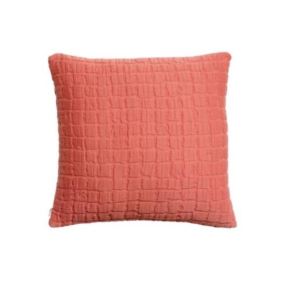 Coussin Swami