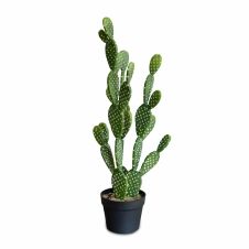 Plante artificielle cactus intérieur H72cm
